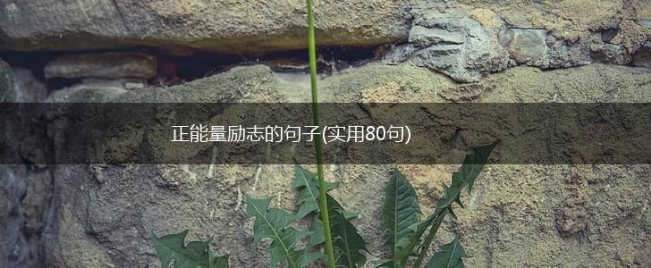 正能量励志的句子(实用80句),第1张