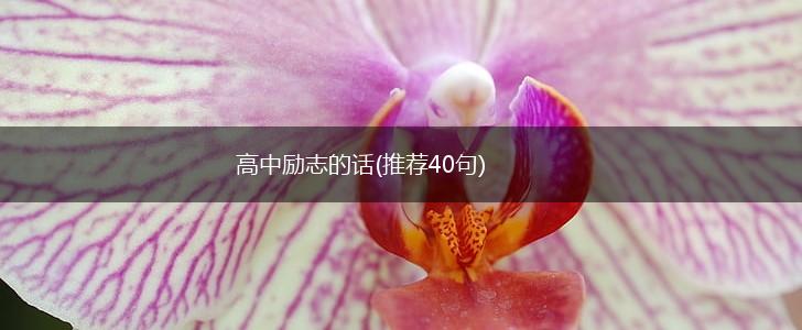 高中励志的话(推荐40句),第1张