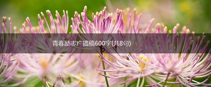 青春励志广播稿600字(共8句),第1张
