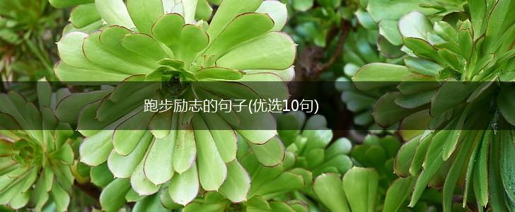 跑步励志的句子(优选10句),第1张