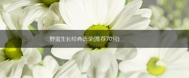 野蛮生长经典语录(推荐70句),第1张