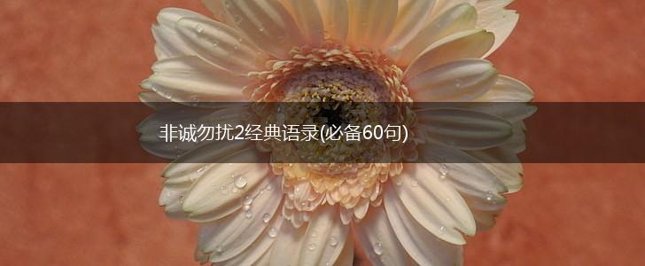 非诚勿扰2经典语录(必备60句),第1张