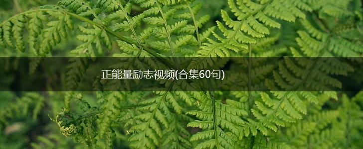 正能量励志视频(合集60句),第1张