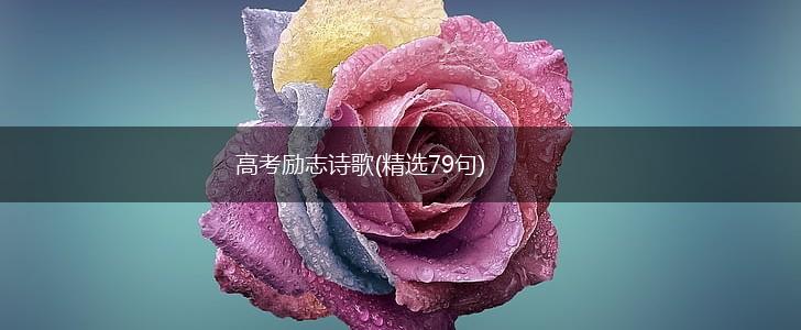 高考励志诗歌(精选79句),第1张