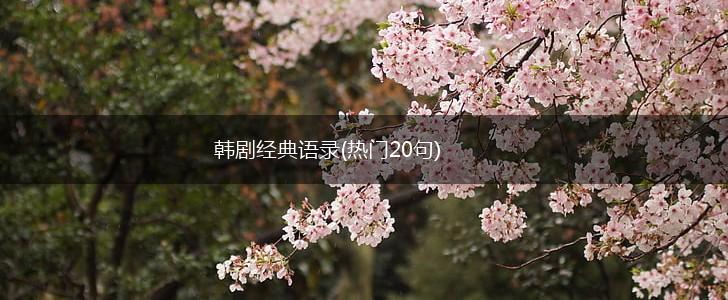 韩剧经典语录(热门20句),第1张