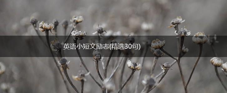 英语小短文励志(精选30句),第1张