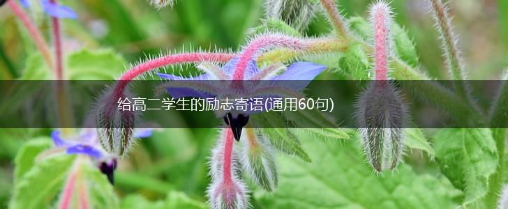 给高二学生的励志寄语(通用60句),第1张 给高二学生的励志寄语(通用60句),第1张