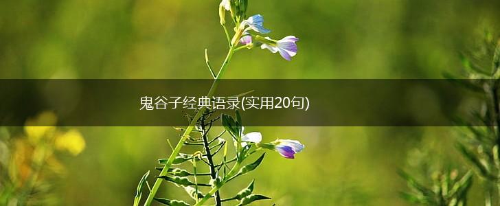 鬼谷子经典语录(实用20句),第1张