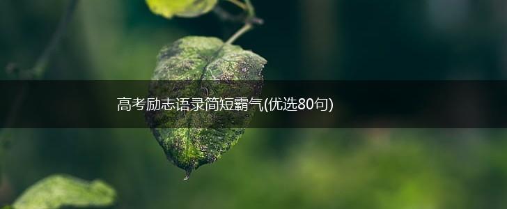 高考励志语录简短霸气(优选80句),第1张