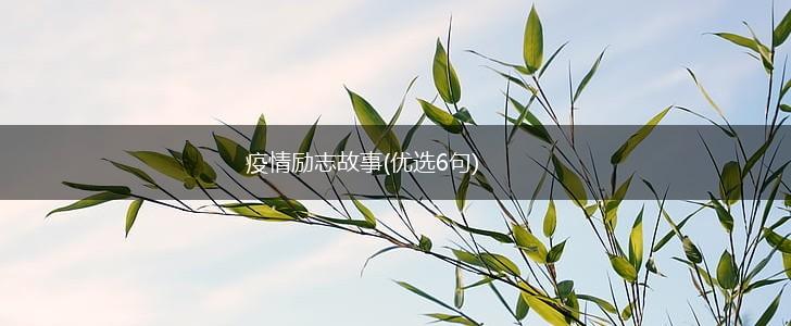 疫情励志故事(优选6句),第1张 疫情励志故事(优选6句),第1张