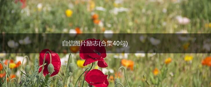 自信图片励志(合集40句),第1张 自信图片励志(合集40句),第1张