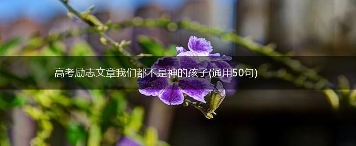 高考励志文章我们都不是神的孩子(通用50句),第1张