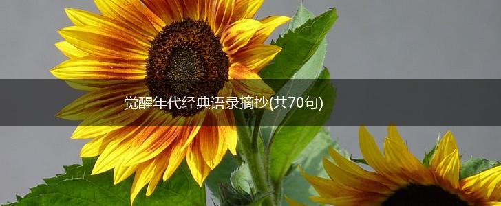觉醒年代经典语录摘抄(共70句),第1张
