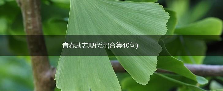 青春励志现代诗(合集40句),第1张