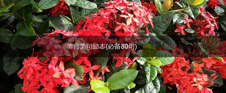 美言美句励志(必备80句),第1张 美言美句励志(必备80句),第1张