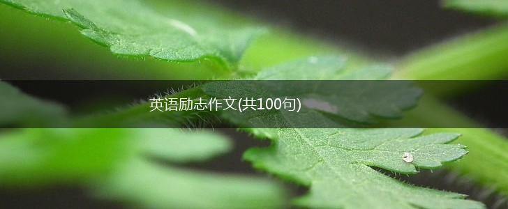 英语励志作文(共100句),第1张