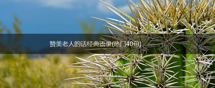赞美老人的话经典语录(热门40句),第1张