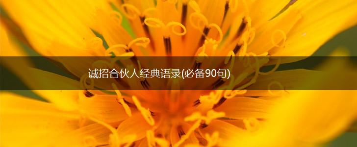 诚招合伙人经典语录(必备90句),第1张