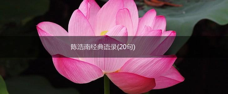 陈浩南经典语录(20句),第1张