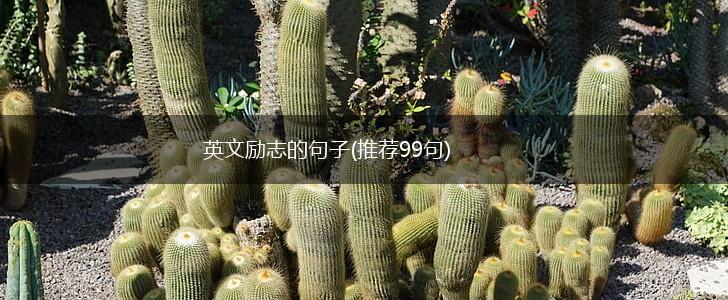 英文励志的句子(推荐99句),第1张 英文励志的句子(推荐99句),第1张