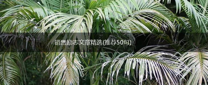 销售励志文章精选(推荐50句),第1张