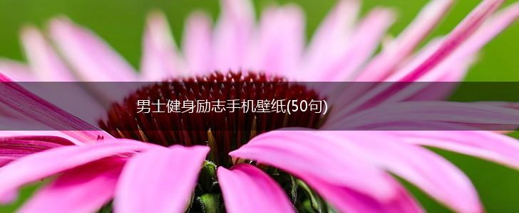 男士健身励志手机壁纸(50句),第1张