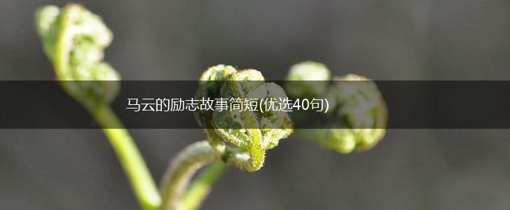 马云的励志故事简短(优选40句),第1张