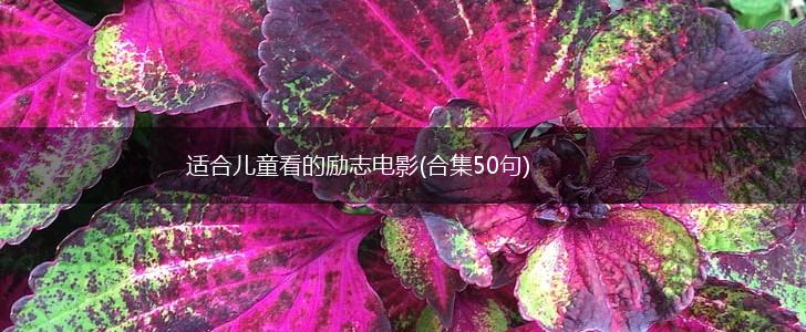 适合儿童看的励志电影(合集50句),第1张