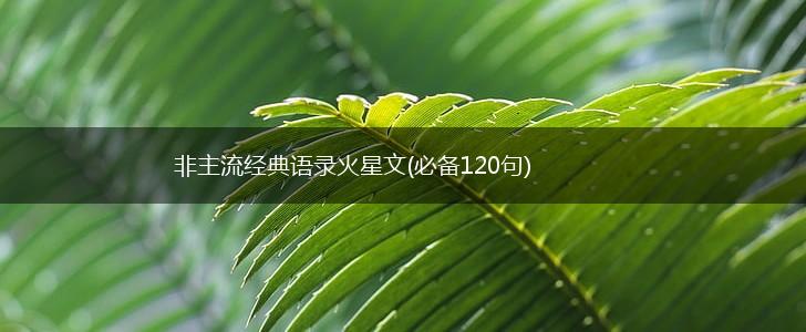 非主流经典语录火星文(必备120句),第1张