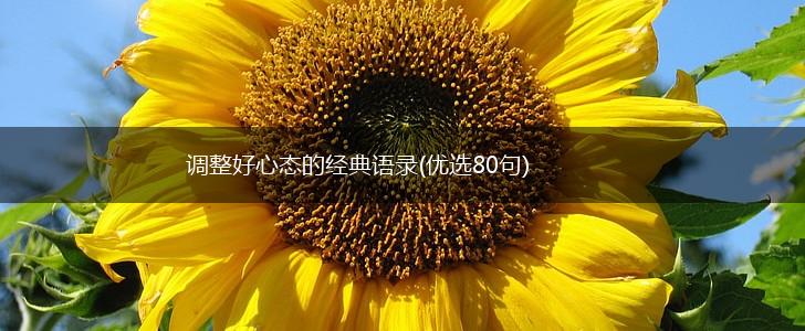 调整好心态的经典语录(优选80句),第1张 调整好心态的经典语录(优选80句),第1张