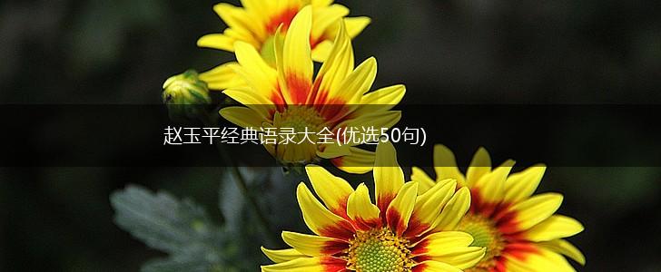 赵玉平经典语录大全(优选50句),第1张