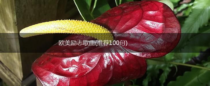 欧美励志歌曲(推荐100句),第1张