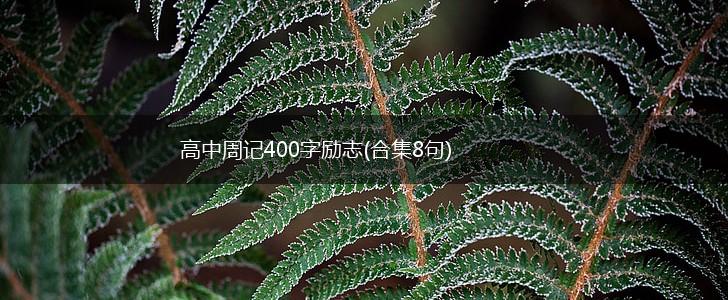 高中周记400字励志(合集8句),第1张