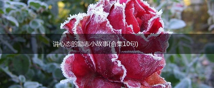 讲心态的励志小故事(合集10句),第1张