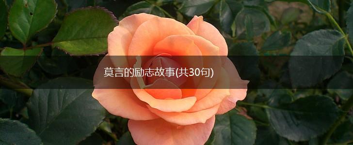 莫言的励志故事(共30句),第1张