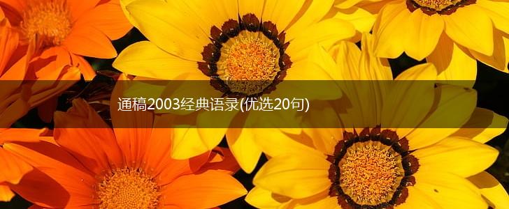 通稿2003经典语录(优选20句),第1张