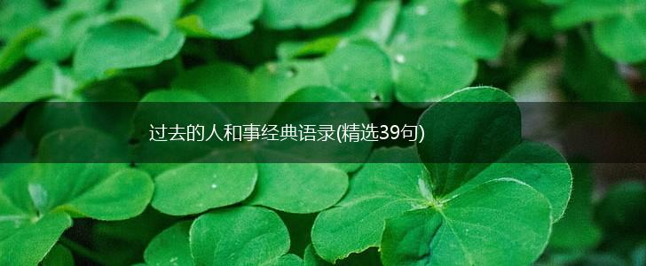 过去的人和事经典语录(精选39句),第1张 过去的人和事经典语录(精选39句),第1张