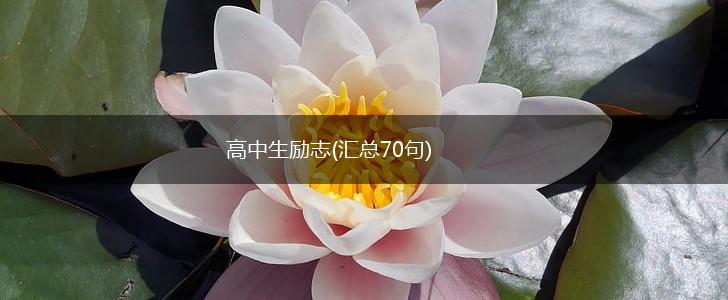 高中生励志(汇总70句),第1张