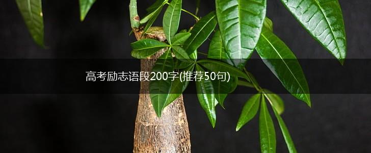 高考励志语段200字(推荐50句),第1张