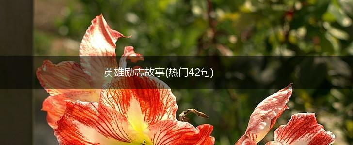 英雄励志故事(热门42句),第1张