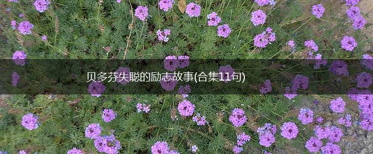 贝多芬失聪的励志故事(合集11句),第1张