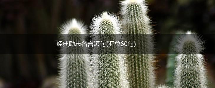 经典励志名言短句(汇总60句),第1张 经典励志名言短句(汇总60句),第1张
