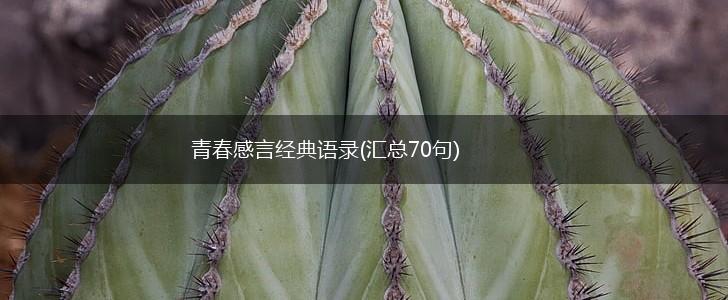 青春感言经典语录(汇总70句),第1张