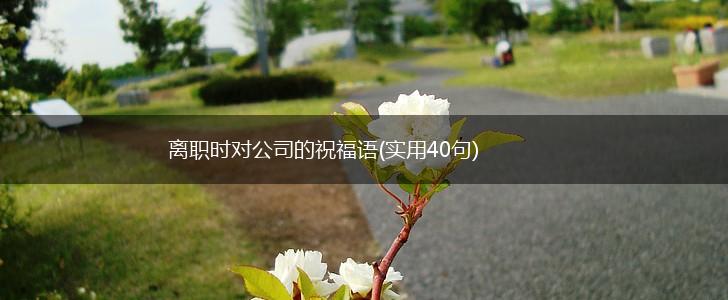 离职时对公司的祝福语(实用40句),第1张
