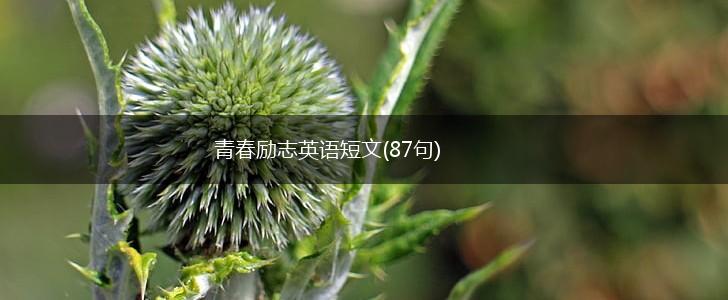 青春励志英语短文(87句),第1张