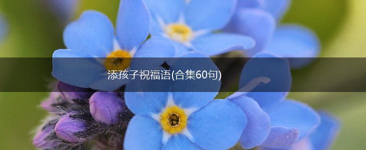 添孩子祝福语(合集60句),第1张