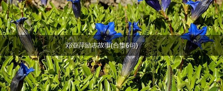 邓亚萍励志故事(合集6句),第1张
