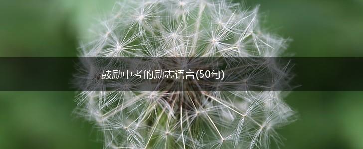鼓励中考的励志语言(50句),第1张