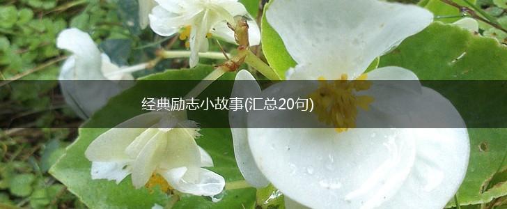 经典励志小故事(汇总20句),第1张