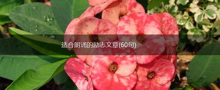 适合朗诵的励志文章(60句),第1张